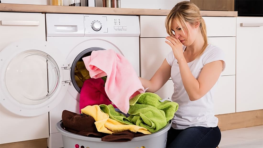 Nhiều vi khuẩn và mùi hôi nếu không vệ sinh máy giặt Midea